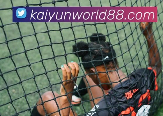 开云体育APP 封面图